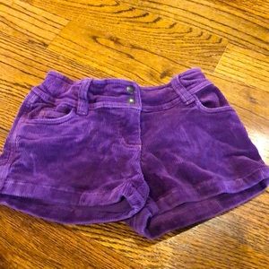 Purple corduroy shorts Boden 5